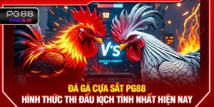 Đá Gà Cựa Sắt PG88 - Hình Thức Thi Đấu Kịch Tính Nhất Hiện Nay
