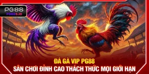 Đá gà VIP PG88 - Sân Chơi Đỉnh Cao Thách Thức Mọi Giới Hạn