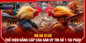 Đá gà S128 - Thể Hiện Đẳng Cấp Của Sân Uy Tín Số 1