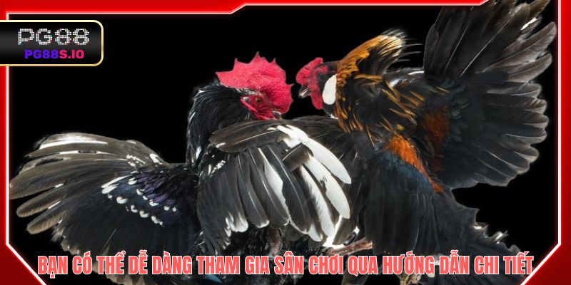 Nên phân tích kỹ trước trận đá gà để quyết định chính xác