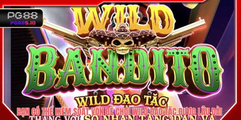 Bạn có thể kiểm soát vốn để chơi Wild đạo tặc được lâu dài