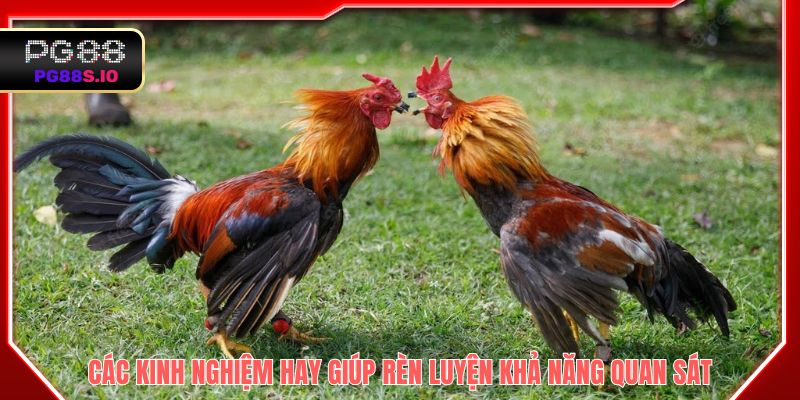 Các kinh nghiệm hay giúp rèn luyện khả năng quan sát