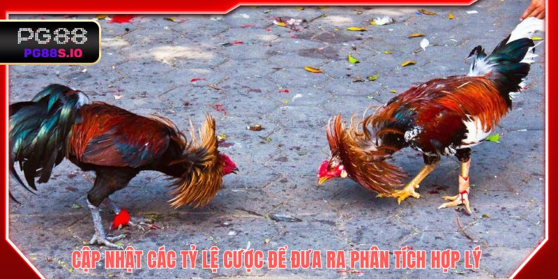 Cập nhật các tỷ lệ cược để đưa ra phân tích hợp lý