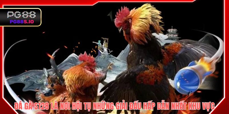 Đá gà S128 là nơi hội tụ những giải đấu hấp dẫn nhất khu vực