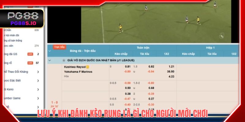 Lưu ý khi đánh kèo rung là gì cho người mới chơi