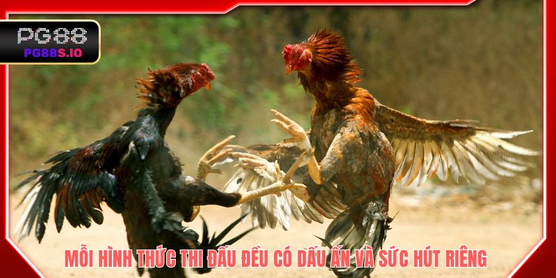 Mỗi hình thức thi đấu đều có dấu ấn và sức hút riêng