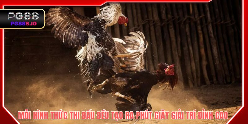 Mỗi hình thức thi đấu đều tạo ra phút giây giải trí đỉnh cao