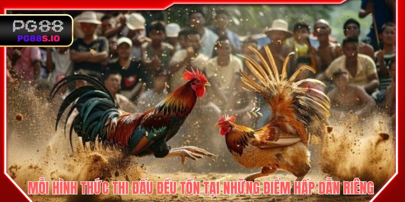 Mỗi hình thức thi đấu đều tồn tại những điểm hấp dẫn riêng