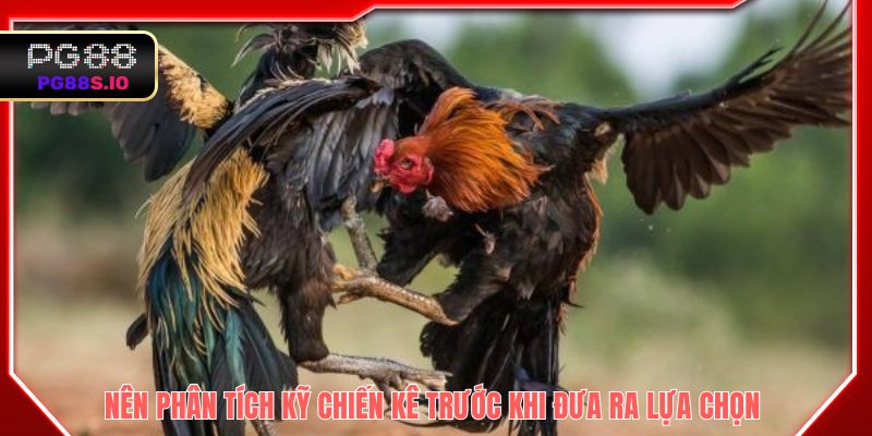 Nên phân tích kỹ chiến kê trước khi đưa ra lựa chọn