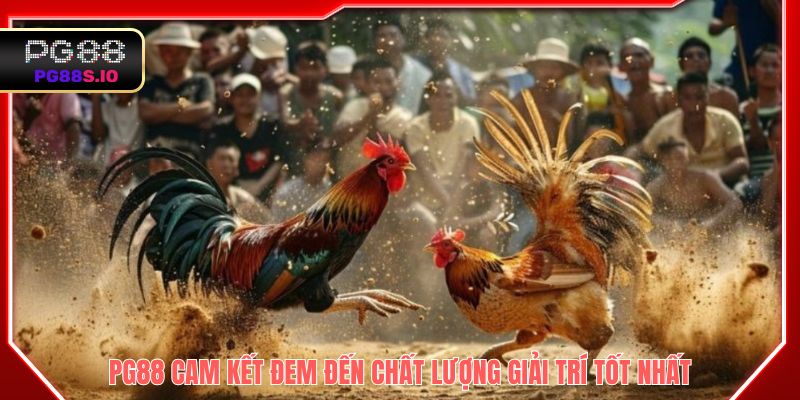 PG88 cam kết đem đến chất lượng giải trí tốt nhất