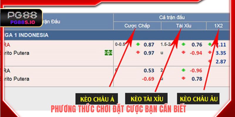 Phương thức chơi đặt cược bạn cần biết