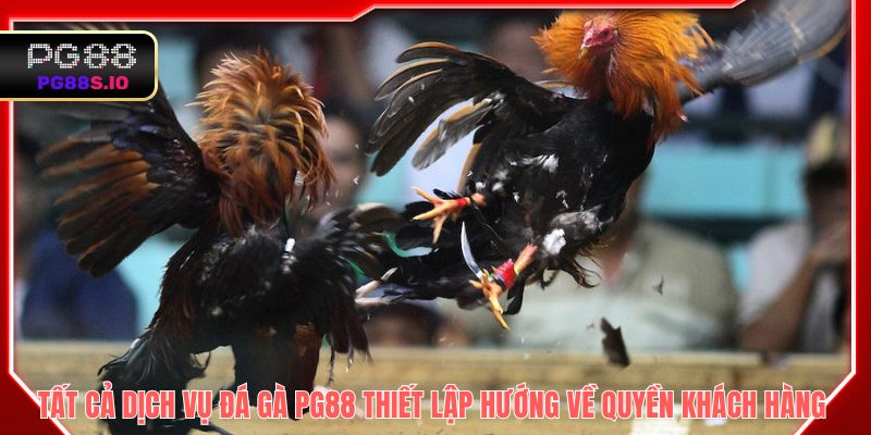 Tất cả dịch vụ đá gà PG88 thiết lập hướng về quyền khách hàng